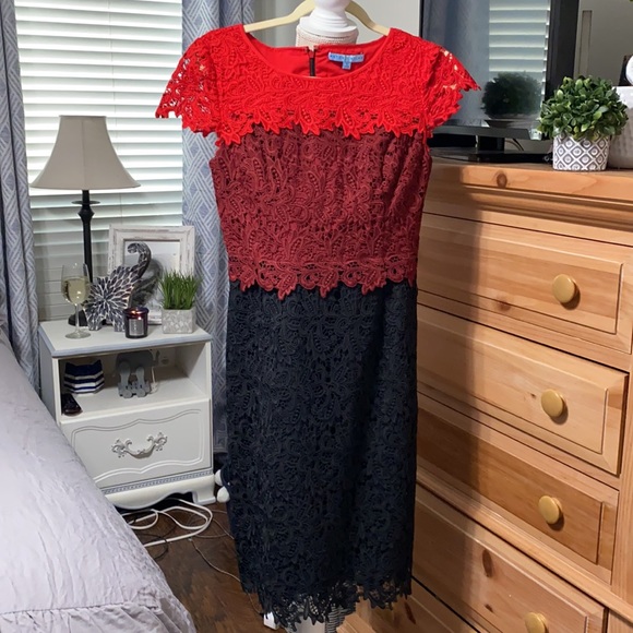 ANTONIO MELANI Dresses & Skirts - Never Worn Antonio Melani Size 0 Stunning Dress Fully Lined
